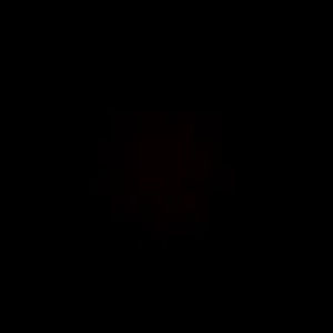 Meet your Posher, Arick